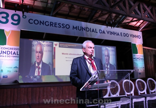 ��39���������������Ѿƴ���ڰ����ٿ�  OIV������ȫ������