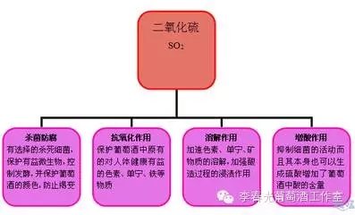 飞酿笔记(八十)——二氧化硫(上)