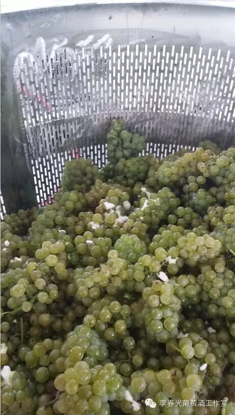 飞酿笔记(八十)——二氧化硫(上)