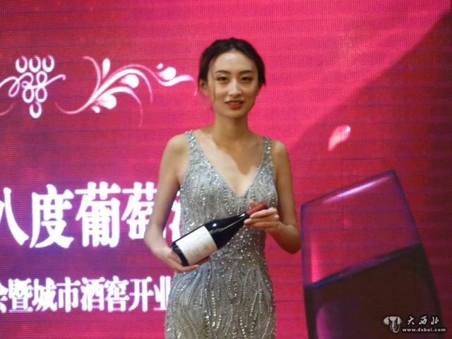 甘肃葡萄酒再添精品:三十八度酒庄产品发布