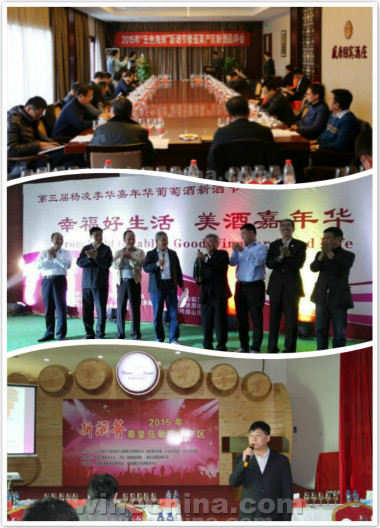中国“新酒”的蝴蝶效应初现端倪