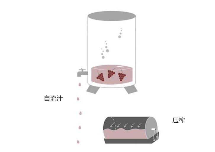 浅谈二氧化碳浸渍法