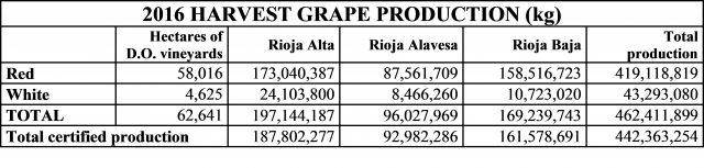 Rioja Harvest:'Exceptional'Quality And Quantity 