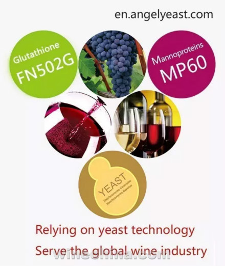 中国酵母品牌即将亮相波尔多VINITECH SIFEL2016