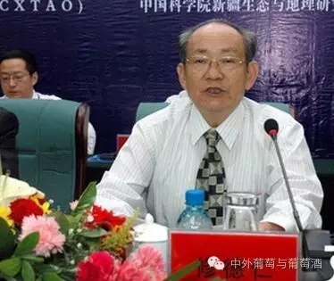 修德仁:结缘葡萄五十年