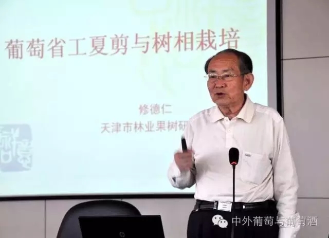 修德仁:结缘葡萄五十年