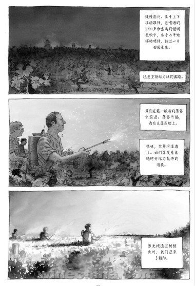 译作《酝酿之道》（当漫画遇见葡萄酒）在中国面世