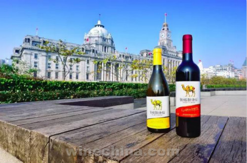 �����Ϻ����������Ǩ��Ψһ��������Ͼ�·����ҵ��λ�����Ͼ�·�У��������Կ���һ���Ϻ���ҵ�Ľ���ʷ���Ͼ�·������԰Ū�����ϵ����ֺŲ������������һ���Ͼ�·���������Ƭ�ع⣬���������Ƕ����Ϻ����Ķ����䡣