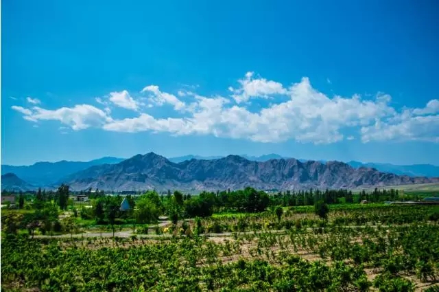 宁夏贺兰山东麓葡萄酒入选《2016中国品牌价值评价信息发布》