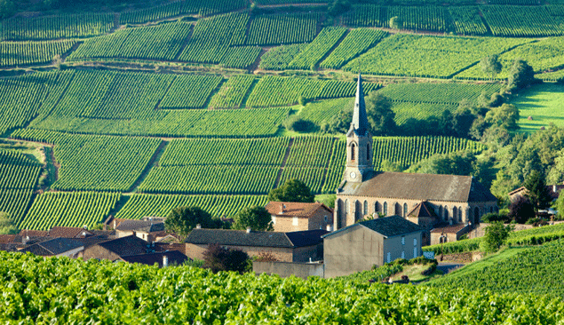 Burgundy Winemaking Unions Merge