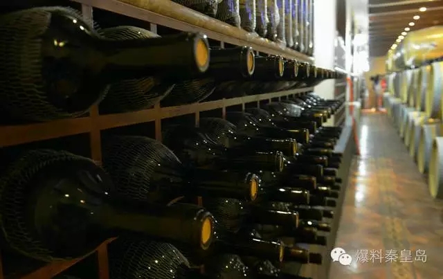 在秦皇岛,有一种体验叫“酒池肉林”