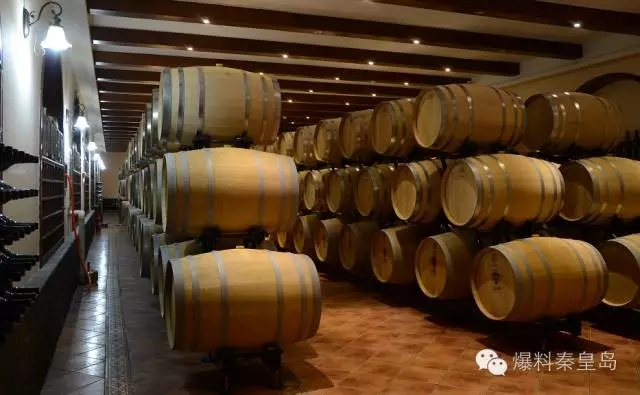 在秦皇岛,有一种体验叫“酒池肉林”