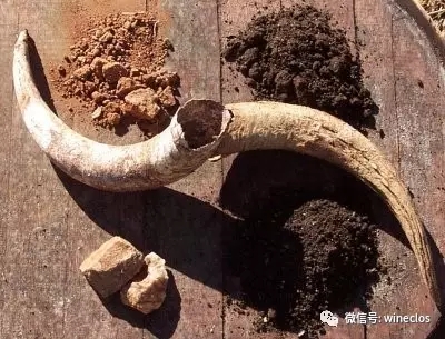 关于根日和果日并不能影响葡萄酒的口感的结论引起众多争论