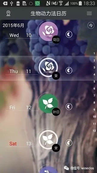 关于根日和果日并不能影响葡萄酒的口感的结论引起众多争论