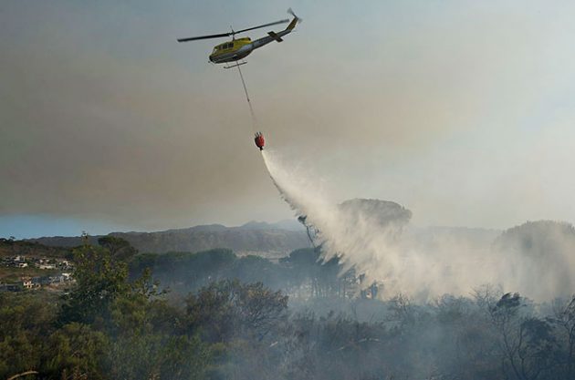 South Africa fire damages 300 year old Vergelegen wine estate