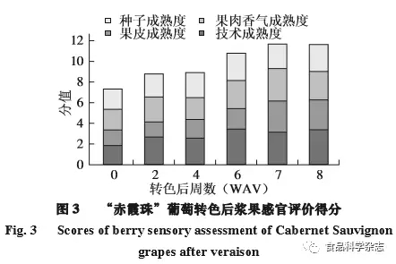 解读“赤霞珠”葡萄转色后不同成熟度指标的变化