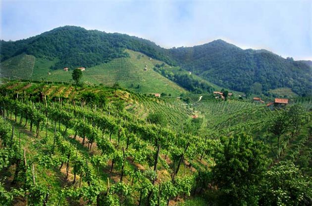 Italy applies for Prosecco UNESCO status