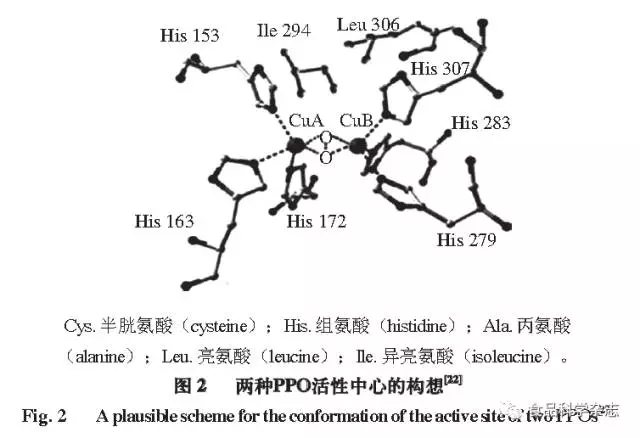 多酚氧化酶——葡萄酒酿造过程中的“捣蛋鬼”