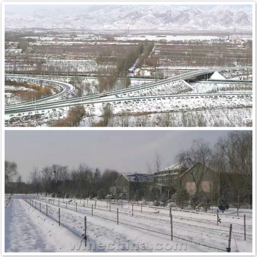 诗与雪的中国酒庄,怎一个美字了得