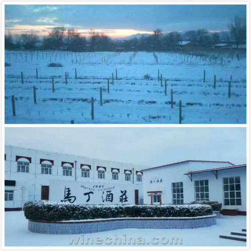 诗与雪的中国酒庄,怎一个美字了得