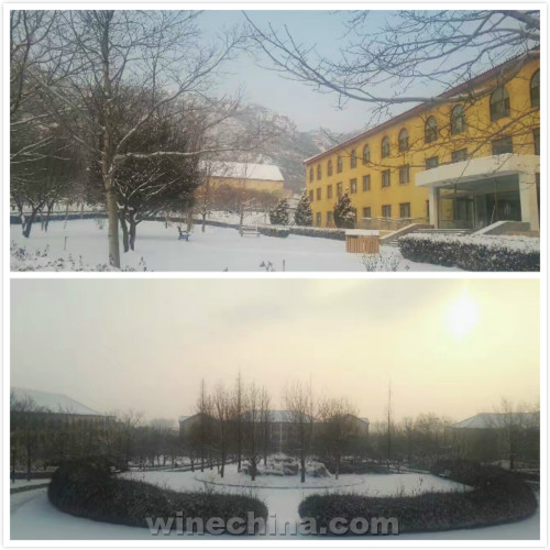 诗与雪的中国酒庄,怎一个美字了得