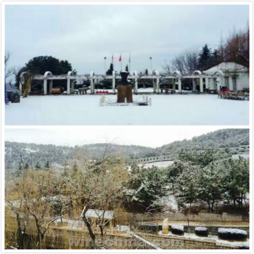 诗与雪的中国酒庄,怎一个美字了得