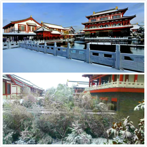 诗与雪的中国酒庄,怎一个美字了得