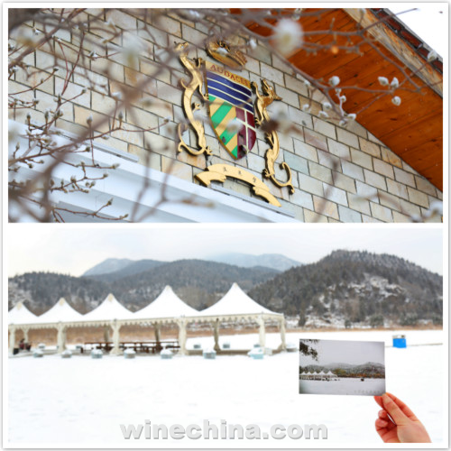 葡萄园拾粹(16)诗与雪的中国酒庄,怎一个美字了得