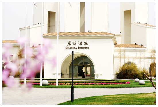 葡萄酒产业促进蓬莱旅游新发展