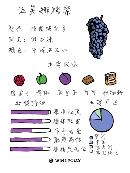 聚焦佳美娜