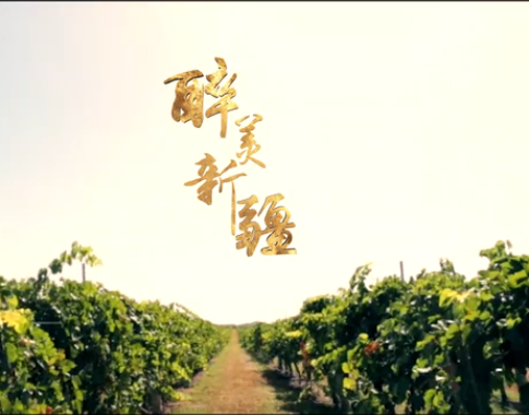 Video:Xinjiang Wine Regions