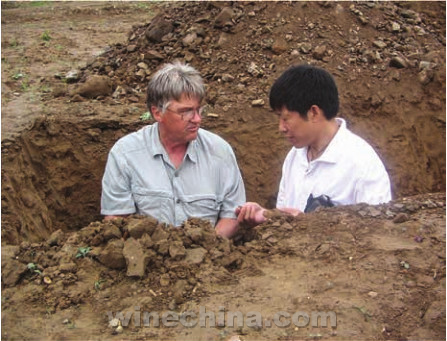 迦南酒庄葡萄园:打破传统缔造典范