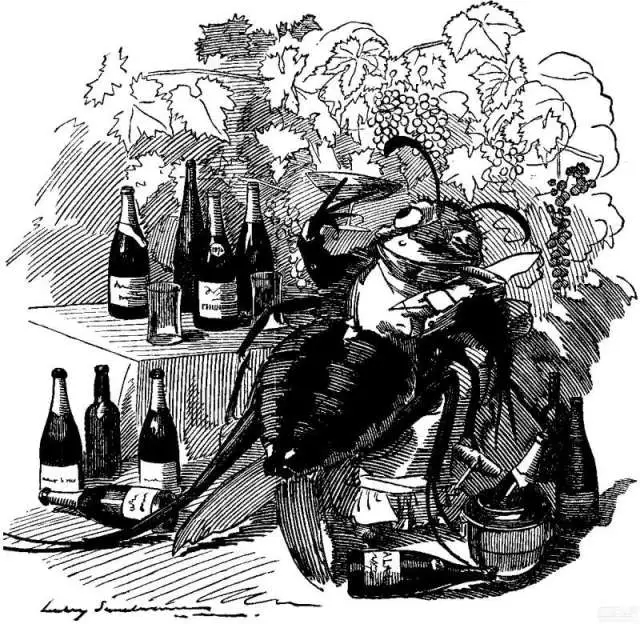 5点看懂里奥哈葡萄酒
