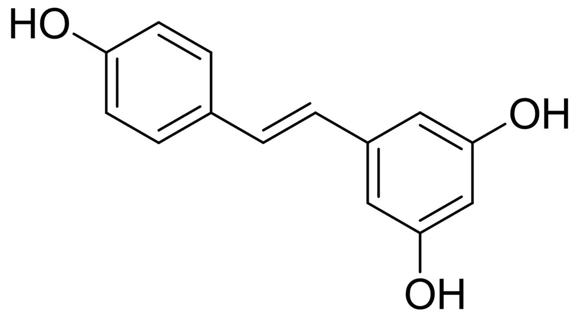 白藜芦醇可以延缓大脑衰老