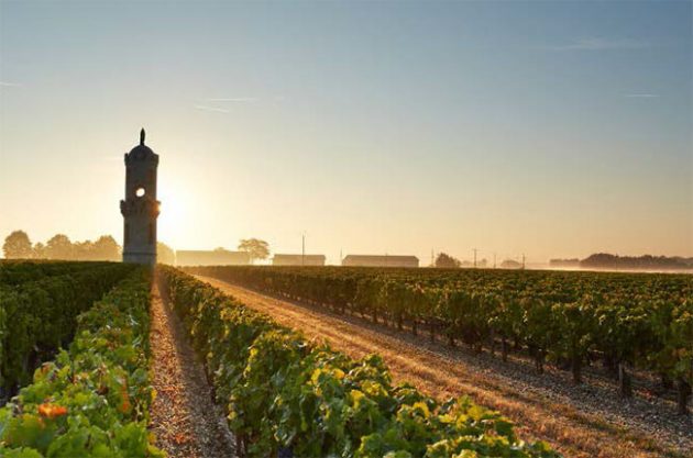 Bordeaux: Lynch-Bages owner buys Haut-Batailley