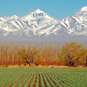 Seventh Malbec World Day Kicks Off In Buenos Aires