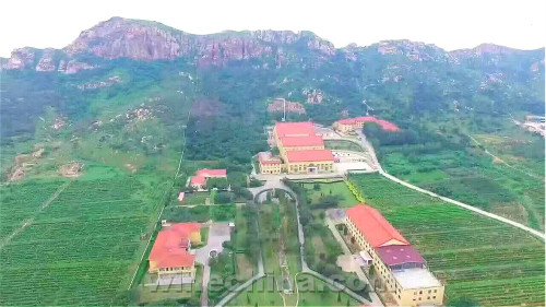 朗格斯酒庄欢迎您品尝真正的庄园酒