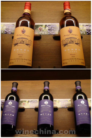 朗格斯酒庄欢迎您品尝真正的庄园酒