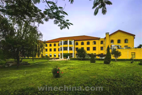 朗格斯酒庄欢迎您品尝真正的庄园酒