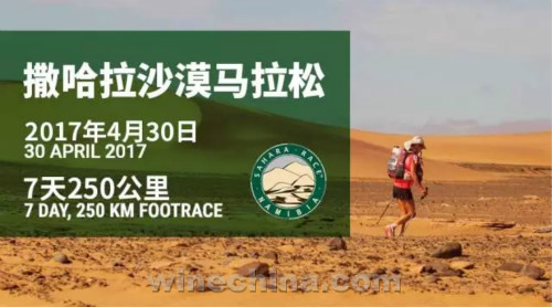 奔跑的力量|怡园少庄主陈芳魔鬼沙漠行