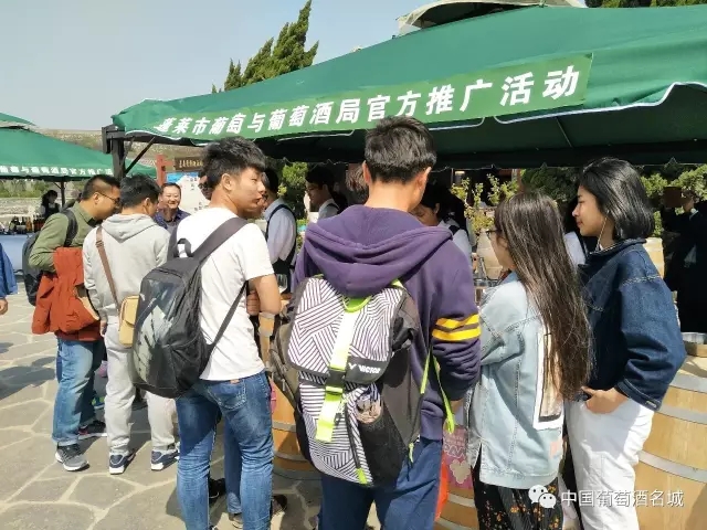“酒城”——蓬莱小长假上演美酒盛宴