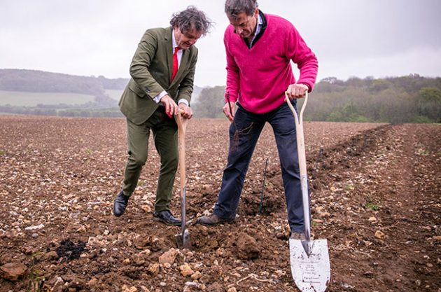 Taittinger plants first vines for English sparkling wine