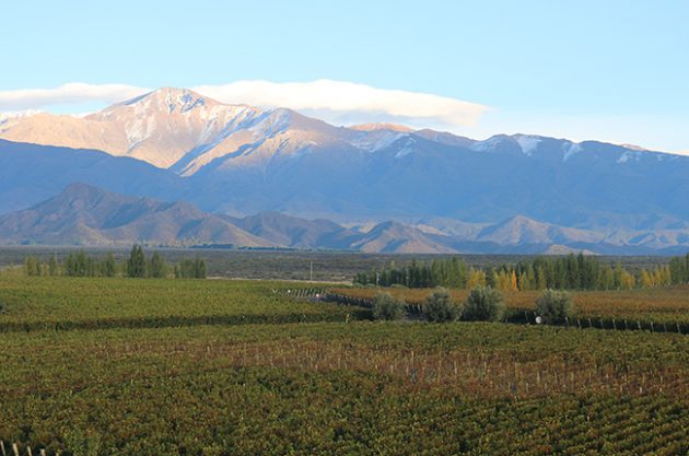 A small but promising vintage for Argentina 2017