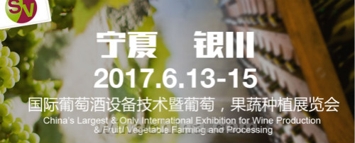 每年,天使之酿都会遵守和您的约定