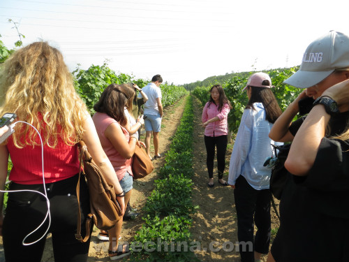 The 29th Class of OIV MSc Visited Beijing and Huailai Regions