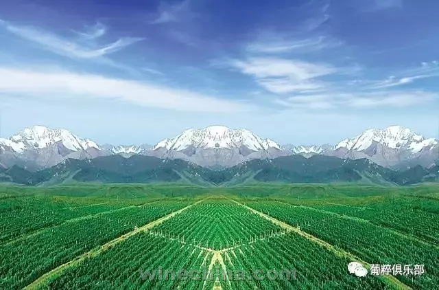莫高葡萄酒的秘密