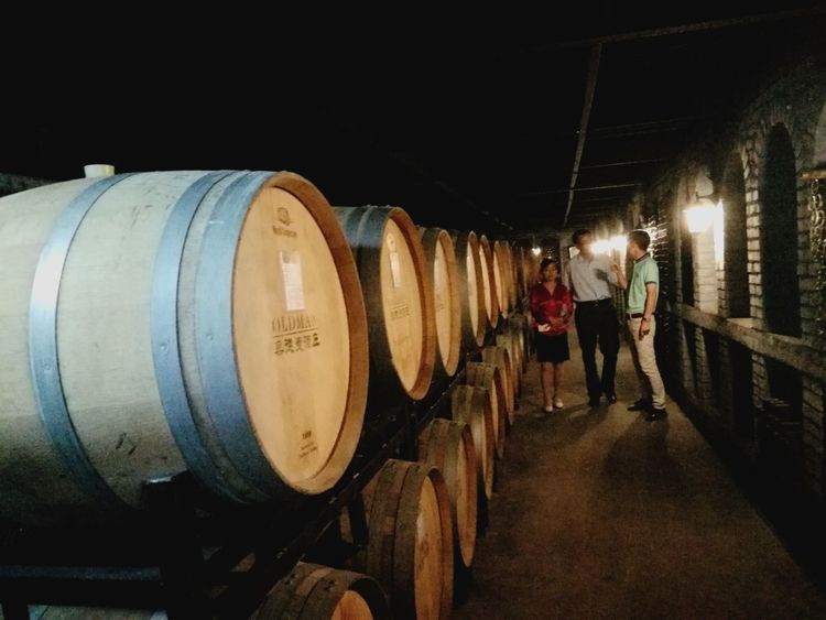 盛夏中美丽的奥德曼酒庄