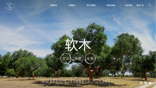 葡萄牙软木协会中文网站全新数字化改版上线