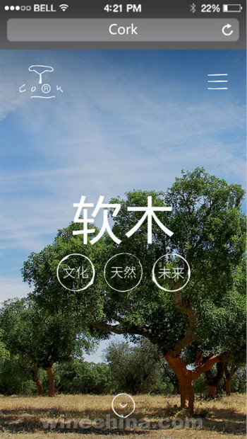 葡萄牙软木协会中文网站全新数字化改版上线