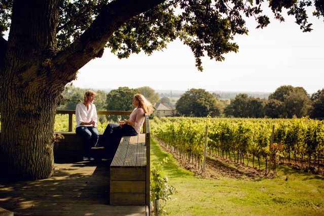 English Wine Industry Now Worth 132 Million